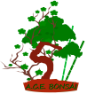 Logo Blog Bonsai